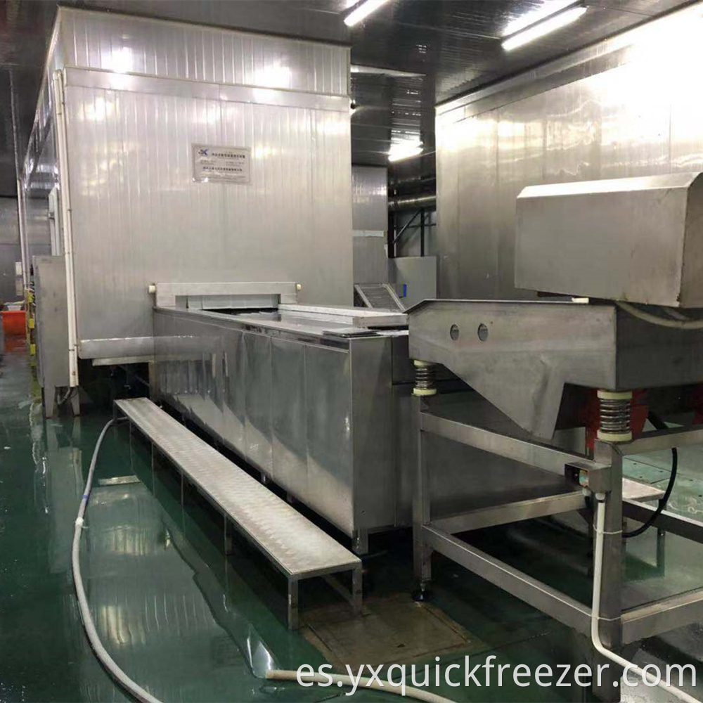 Tunnel Freezer